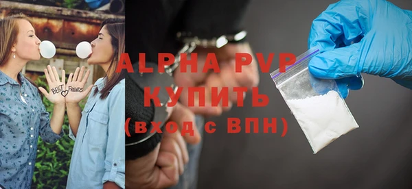 стафф Алексин
