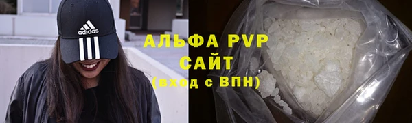 стафф Алексин