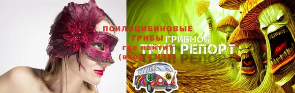 стафф Алексин