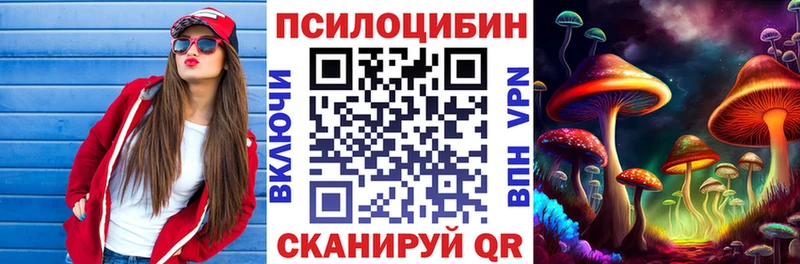 кракен ТОР  Алатырь  Псилоцибиновые грибы Psilocybine cubensis 